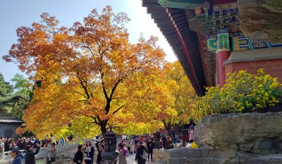 Xiangshan Park