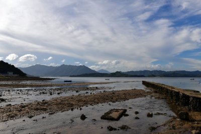 SCD_0955.jpg