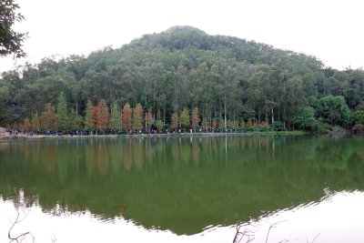 DSC01193.jpg