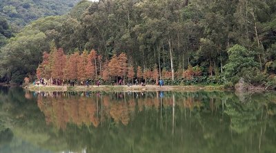20210110_083153.jpg