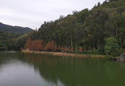 Lau Shiu Heung Reservoir