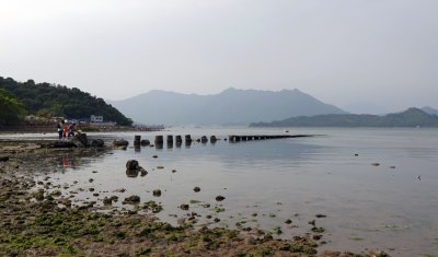 SSC01896.jpg
