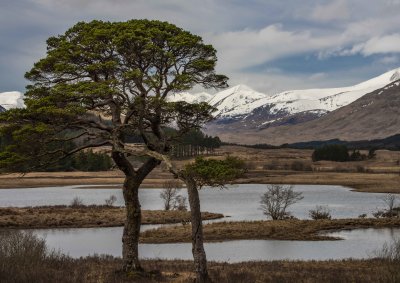 Loch Tulla