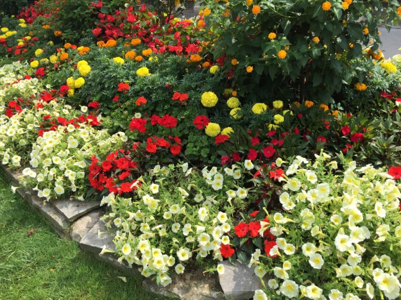 11._Flowers_at_Niagara_On_The_Lake.JPG