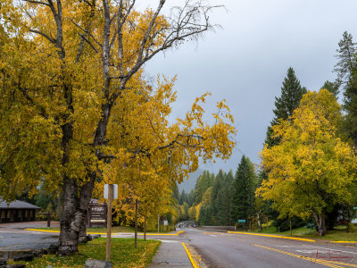 G50R0396.jpg