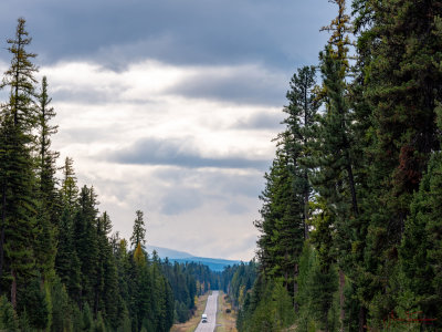 G50R0452.jpg