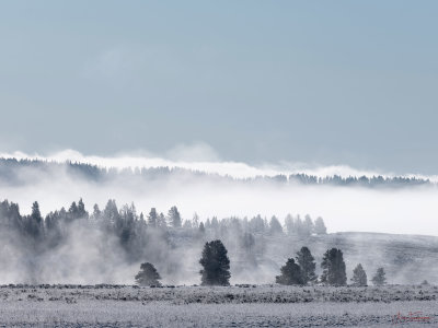 YELLOWSTONE NP