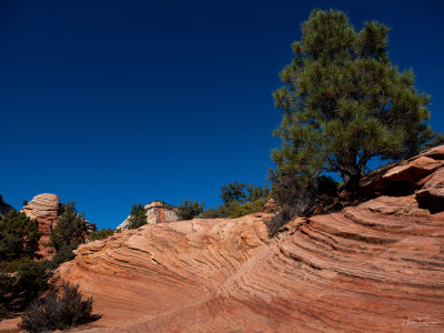 ZION NP