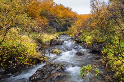 F61A4828 Fall colors