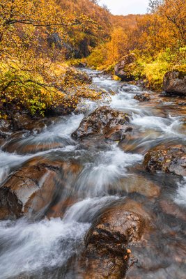 F61A4835 Fall colors
