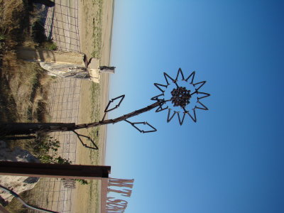 Sunflower Detail