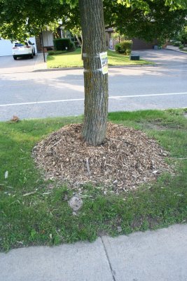 IMG_0031.JPG