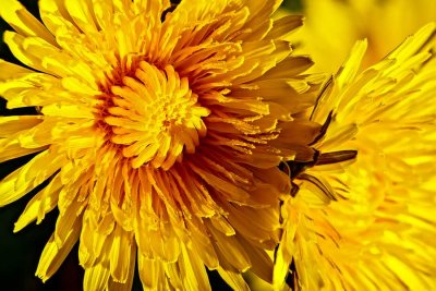 Sunburst050221.jpg