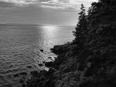 A view from Acadia National Park