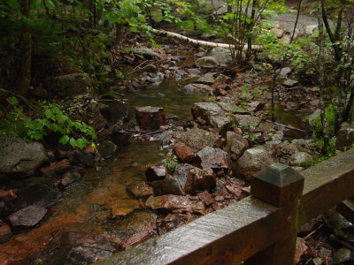 Acadia NP: A Walk in the Rain