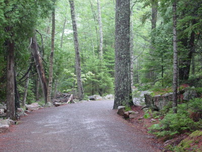 DSC01243.JPG