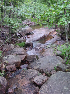 DSC01244.JPG