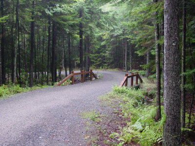 DSC01258.JPG