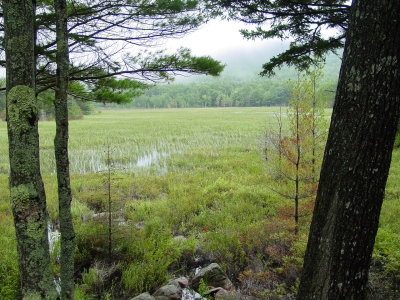 DSC01261.JPG
