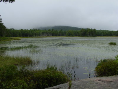 DSC01264.JPG