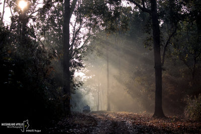 KANHA-India