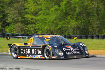 Coyote CC/08 #FDSC/03-008 - Pontiac