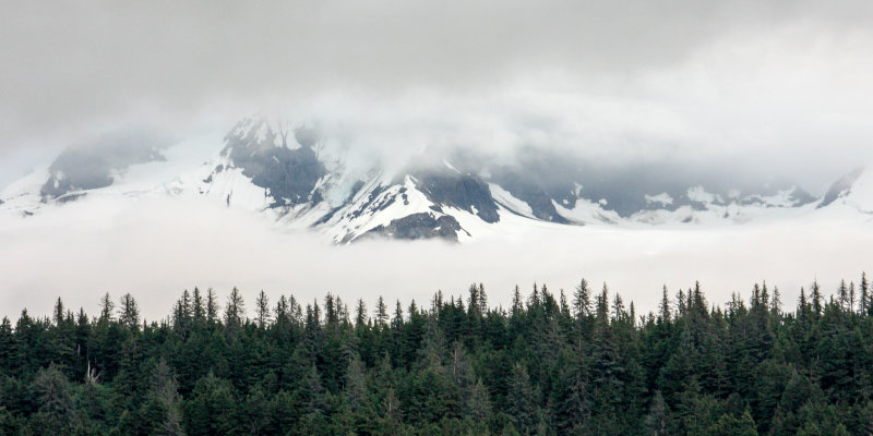 IMG_6185.jpg