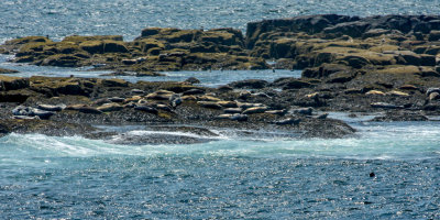 Lighthouse cruise