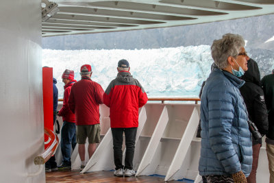 Glacier Bay. Viewed from the Bow viewing deck, at the very front of the ship. Numerous critters to view, too