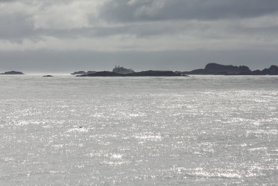 Glacier Bay. Viewed from the Bow viewing deck, at the very front of the ship. Numerous critters to view, too