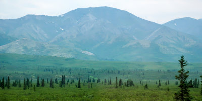 Denali National Park. We did a short guided tour of a small corner of the park.