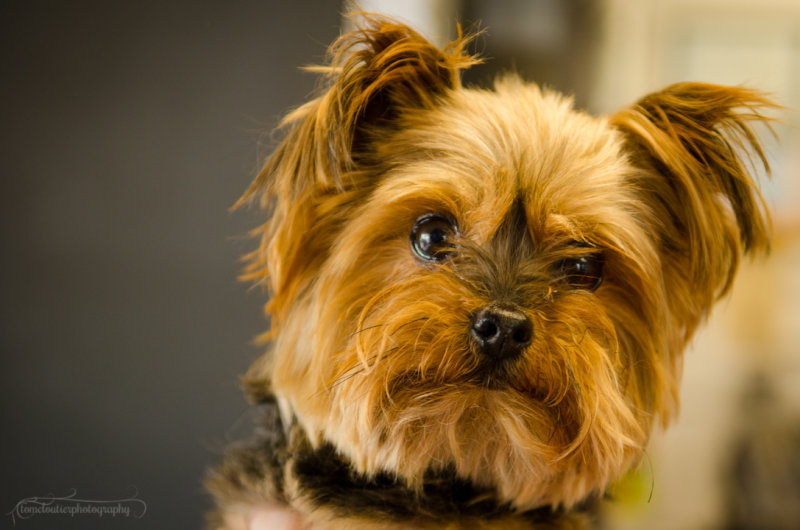 Bella-July13-1.JPG