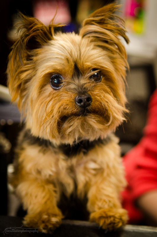 Bella-July13-10.JPG