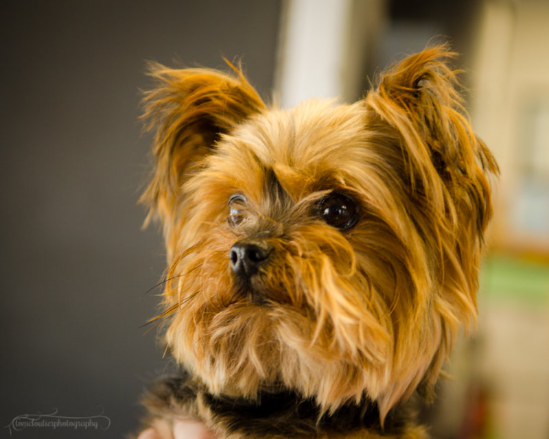 Bella-July13-5.JPG