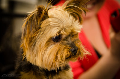 Bella-July13-12.JPG
