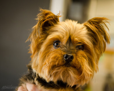 Bella-July13-3.JPG