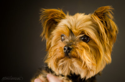 Bella-July13-7.JPG