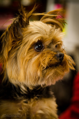 Bella-July13-9.JPG