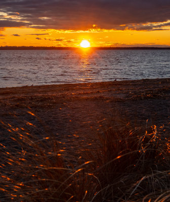 _sunset_at_Barrington_T_beach_87_days_Feb_1_20200767.jpg