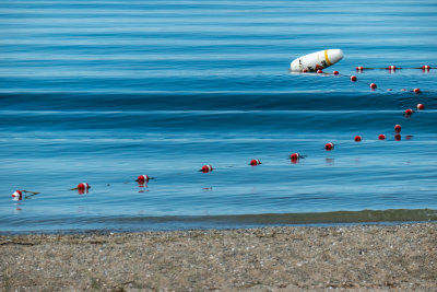 morning beach walk vs 3 June 9 2020 day 88-1031339.jpg