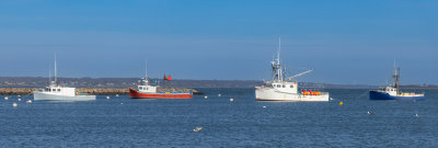 All my boats in a row Presidents Day 2022.jpeg