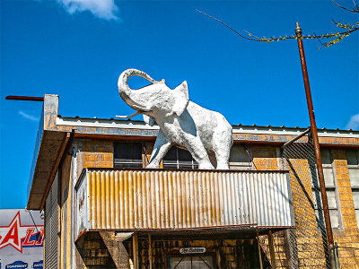  White elephant over entrance, Taylor, TX