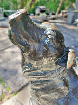 Bronze sculpture of Gracie the Pig, rub her snout for good luck, Huisache Grill, New Baunfels, TX