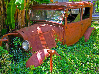 1929 Ford in vines, Bastrop, TX 