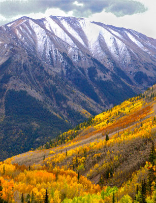 Mtn. snow and aspens 