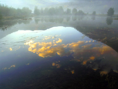 Morning fog on Vicker's trout pond