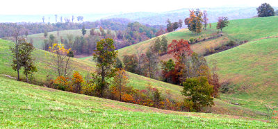 Landscape 