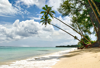 Beach and leaning palms 