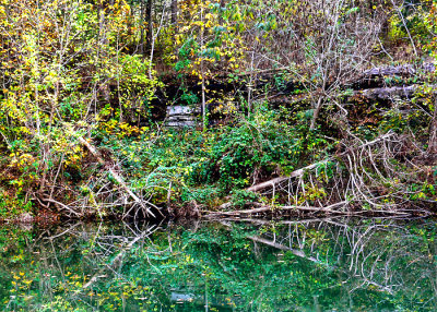 Ozarks in the fall