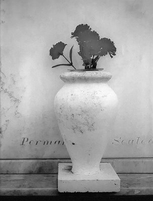 Vase with red flower#2, b&w